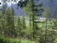 A valley in the Alps