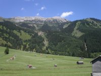 A meadow in the Alps