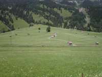 A meadow in the Alps