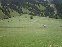 A meadow in the Alps