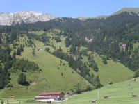 A meadow in the Alps