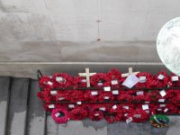 Poppies at Ypres
