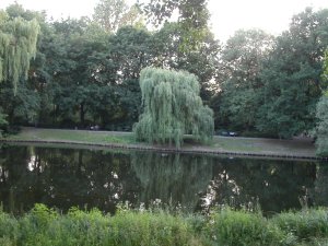 Tiergarten