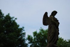 Abney Park Cemetery in London