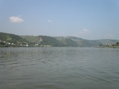 The Rhine