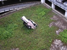 A car that parked the wrong way in Lübeck