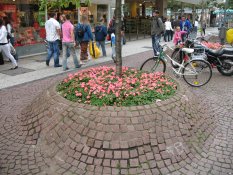 Frankfurt am Main