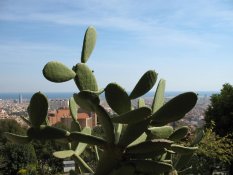 Barcelona from Parc Guell