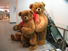 Bears at Karstadt